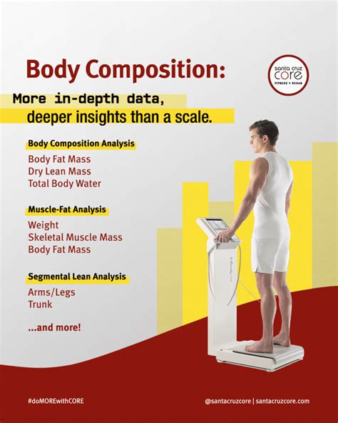 Body composition analysis türkçe